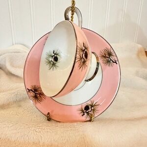 Unbranded Vintage Tea Cup and Saucer Set Pink Excellent Pine Cone Silver Trim